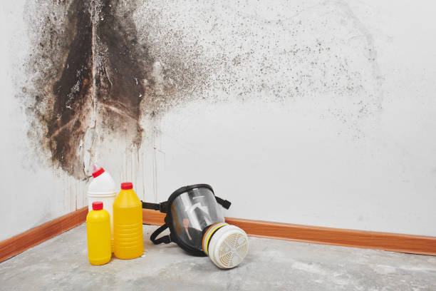 Best Local Mold Removal Service  in Pawnee, OK