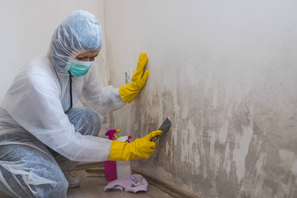 Best Professional Mold Removal  in Pawnee, OK