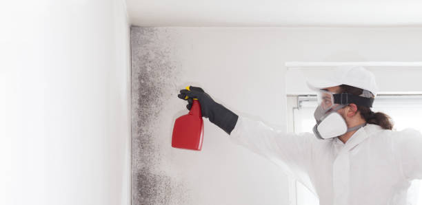 Best Mold Testing and Removal  in Pawnee, OK