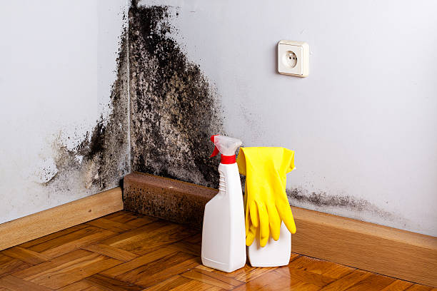 Best Mold Cleaning Services  in Pawnee, OK